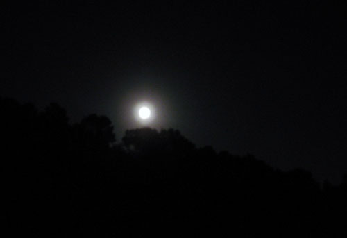 It was a Full Moon last night.
